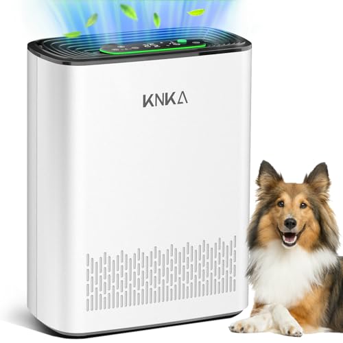 Best Air Purifiers for Asthma