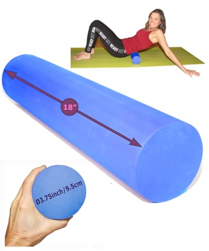 Best Foam Rollers for Back Pain