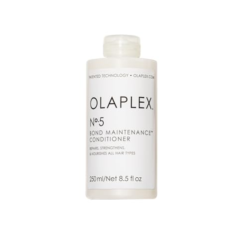 Best Conditioner for Dry Ends