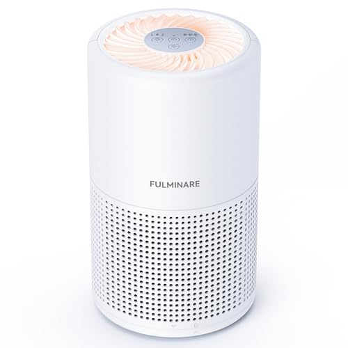 portable air purifier singapore