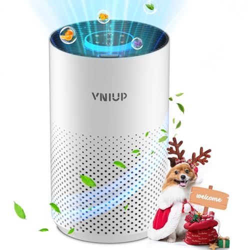 good air purifier singapore