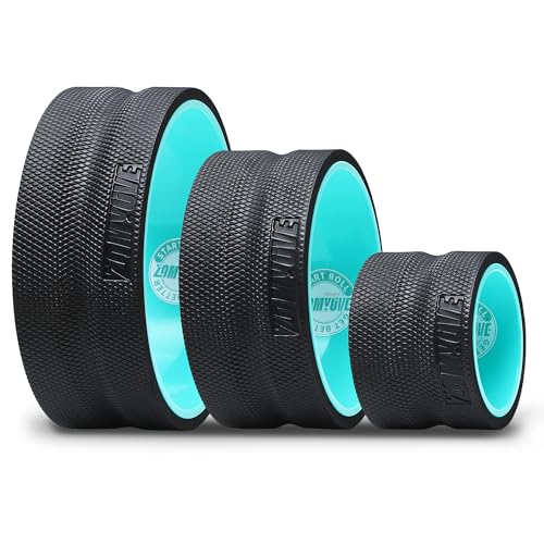best roller for back pain