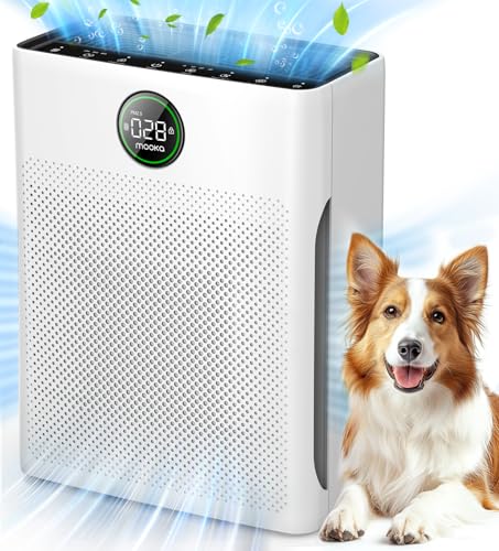 best home air purifiers 2025 in malaysia